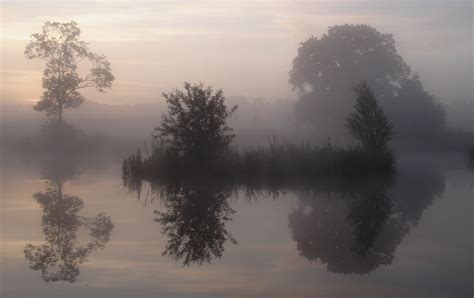 Wallpaper Sunlight Nature Reflection Sky Branch Sunrise Evening