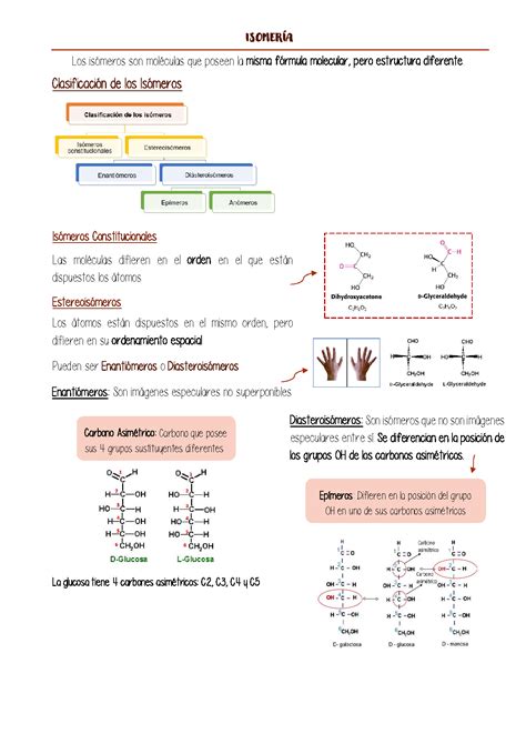 Solution Estructura De Los Carbohidratos Studypool