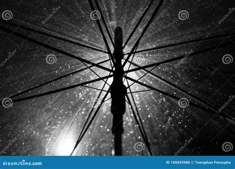 Umbrella and Rain in Black and White Background Stock Photo - Image of ...