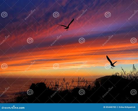 Birds Silhouette Sunset stock image. Image of landscape - 85448783