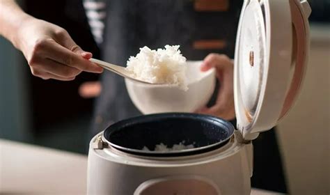 Bansos Rice Cooker Gratis Cair Hari Ini Cek Jadwal Penyalurannya