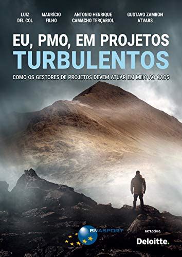 Eu PMO Em Projetos Turbulentos Como Os Gestores De Projetos Devem