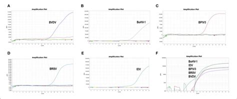 Specificity Of The Multiplex Real Time PCR Assay The Data Were