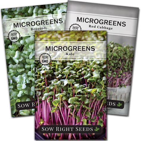 Superfood Microgreens Starter Kit - Sprout Tasty Microgreens Indoors ...