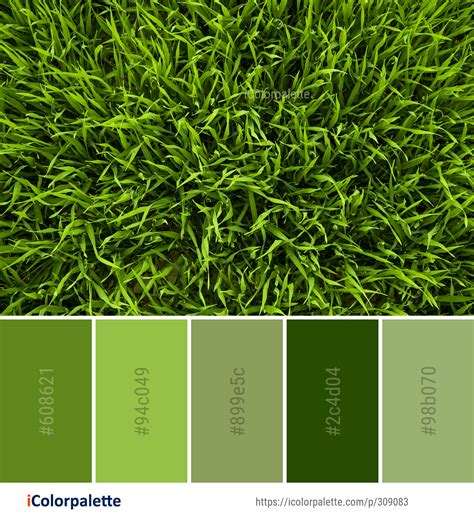 Grass Green Color Palette Elmo Hooks