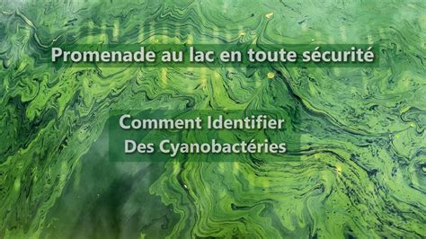 RECONNAITRE LES CYANOBACTERIES YouTube