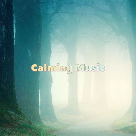 Calming Music Album By Calming Music And Soothing Music Masters Spotify