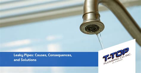 Leaky Pipes Consequences And Solutions T Top Plumbing