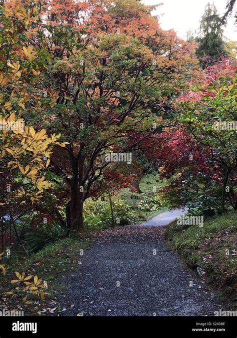 Autumn at Bodnant Gardens Stock Photo - Alamy