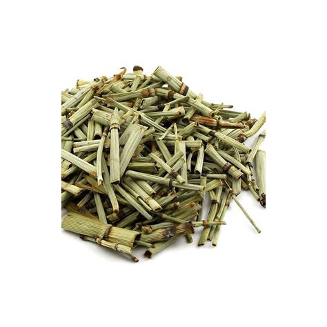 Cavalinha Para Que Serve O Chá - Chá De Cavalinha - Para Que Serve E Como Consumir