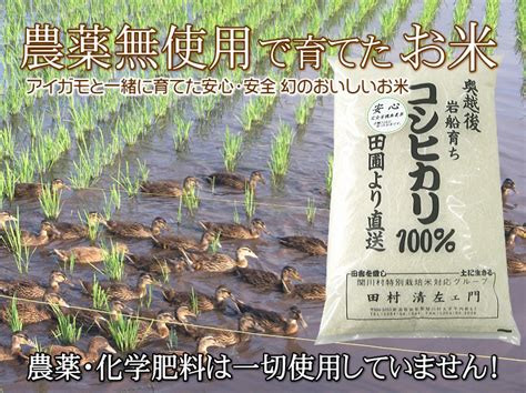 無農薬米なら百姓屋 無農薬・無化学肥料で育てたお米 岩船産コシヒカリ