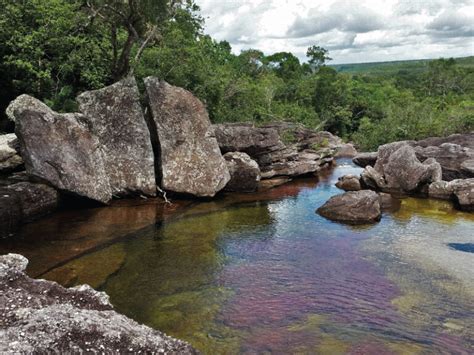 Ca O Cristales Excursi N Caminatas Al Aire Libre