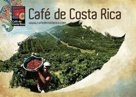 Tour Del Caffè Costa Rica Vacanza 2015