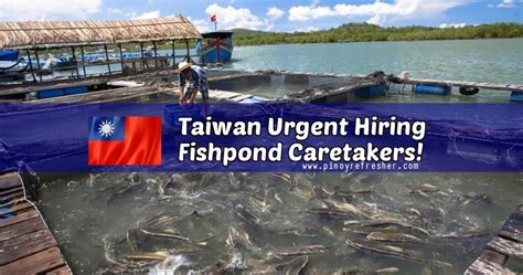 Taiwan Urgent Hiring Fishpond Caretakers Under City Employment Center