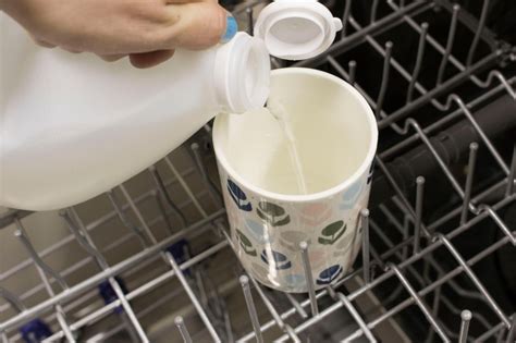 How To Clean A Dishwasher Quickly In 6 Easy Steps