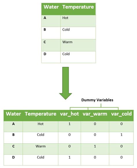 Comment créer des variables factices en Python avec Pandas StackLima