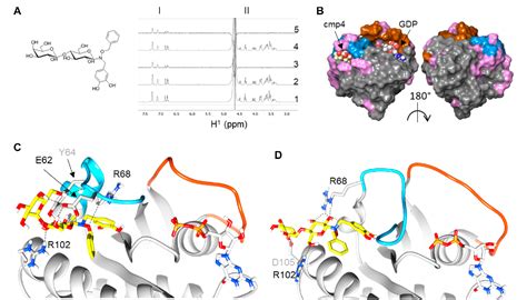 The Multi Level Mechanism Of Action Of A Pan Ras Inhibitor Explains Its