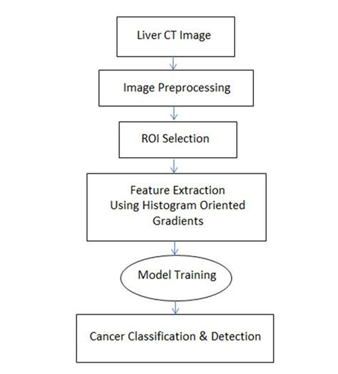 The Complete Diagram Of The Proposed Model For Liver Cancer Detection And Download Scientific