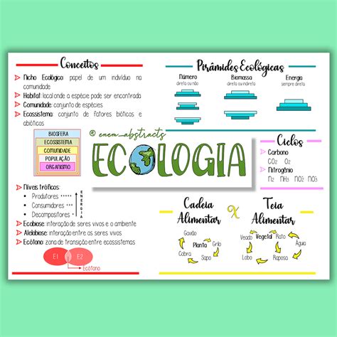 Ecossistema Mapa Mental