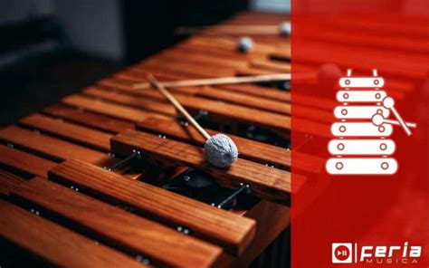 Les 10 Meilleurs Xylophones Guide De 2025 Feria Musica