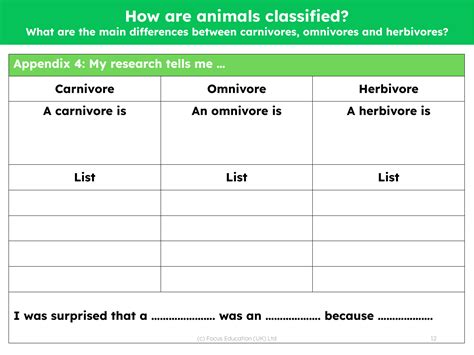 What Are The Main Differences Between Carnivore Omnivore And Herbivore