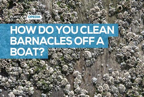 How Do You Clean Barnacles Off a Boat? 3 Awesome Methods