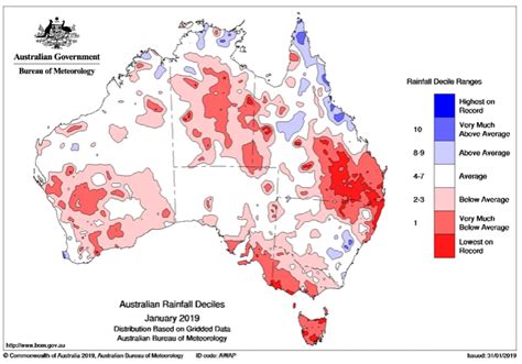 Australia Fires Things To Know About The Bushfire Crisis World