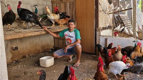 Vanio Da Feira Das Galinhas Mostrando As Cria Es Compradas Na Feira Do