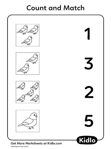 Count And Match Birds Worksheet 05