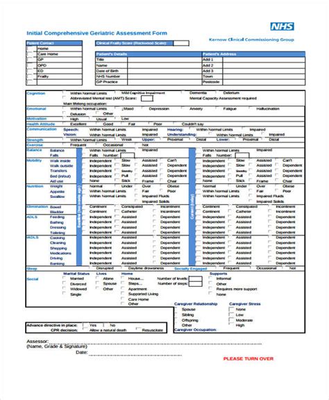 Comprehensive Geriatric Assessment Form Hot Sex Picture