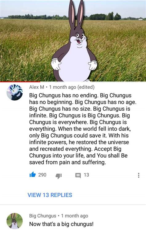 Big Chungus Wiki Big Chungus Amino