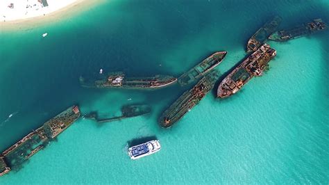 Dolphin Cruise With Tangalooma Wrecks Snorkel Tour With Transfers