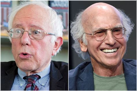 Yup, Larry David and Bernie Sanders are totally, really related | Salon.com