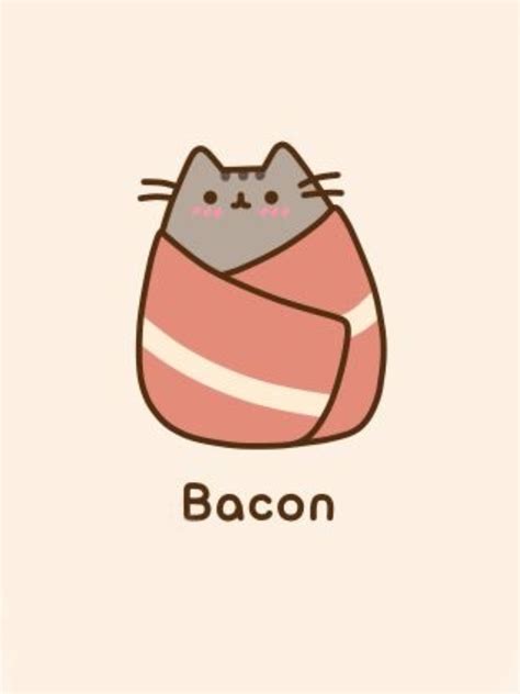 Bacon Wrapped Cat Crazy Cat Lady Crazy Cats Cartoon Cat Cute Cartoon Pusheen Love Nyan Cat