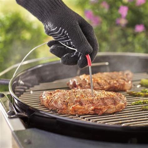 Weber Grills Igrill Pro Ambient Temperature Probe Bbqgrills