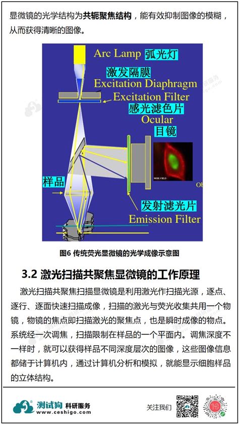 激光扫描共聚焦显微镜的基本原理与应用 测试狗·科研服务