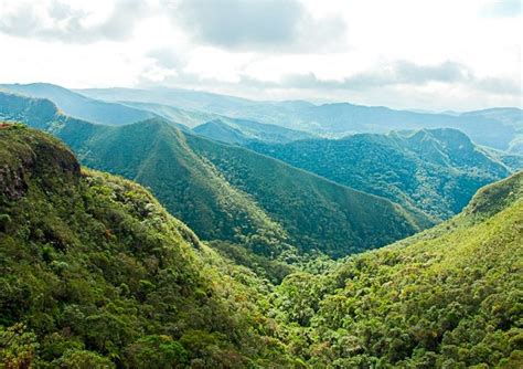 Mata Atlântica bioma abriga mais de 70 da população brasileira