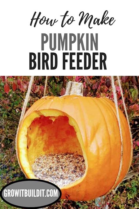 Pumpkin Bird Feeder – 5 Min Craft Project – GrowIt BuildIT