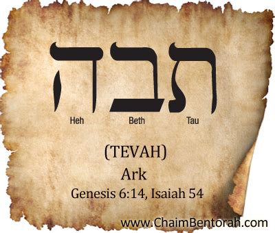 Hebrew Word Study Ark Tevah Chaim Bentorah