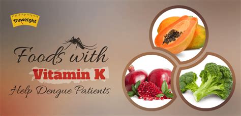 Healthy Food Diet For Dengue Patients Vitamin K Rich Foods Possible