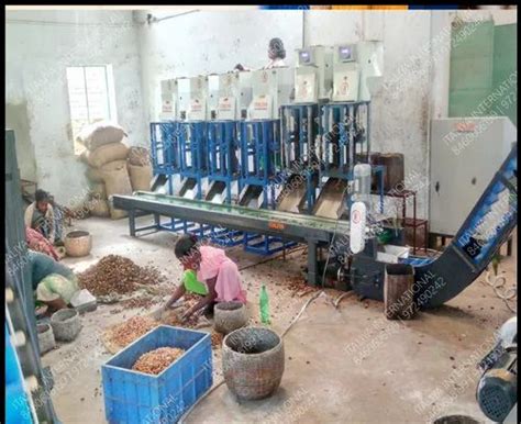 Automatic Cashew Nut Shelling Machine Line At Rs 95000 Piece Cashew