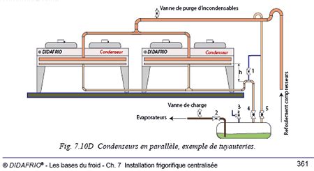 Les Bases Du Froid