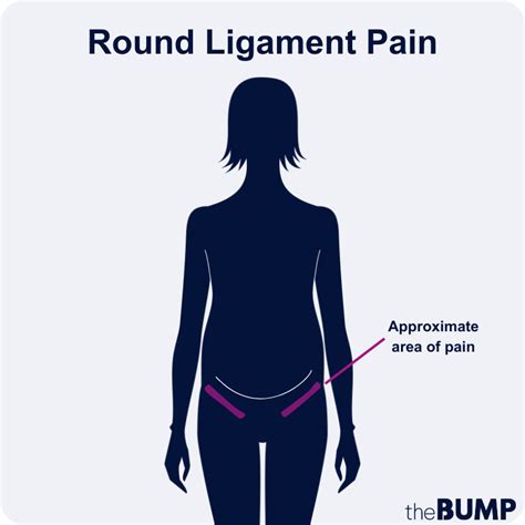 ligament stretching - mi-pro.co.uk