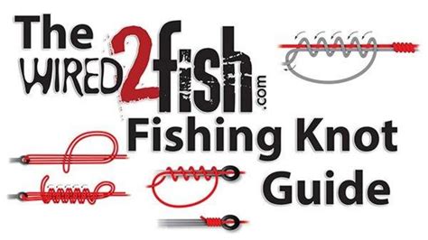 15 Fishing Knots Every Angler Should Know - Wired2Fish.com