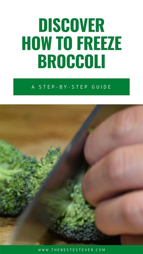 How To Freeze Broccoli With Step By Step Instructions Artofit