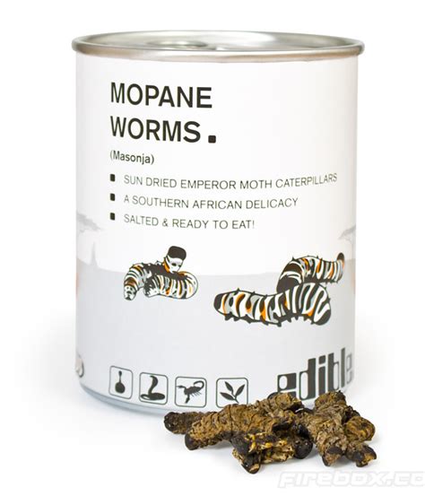 Edible Mopane Worms Why Not Lost In A Supermarket