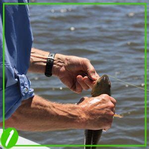 How To Unhook A Fish Properly Best Ways To Remove A Fish Hook