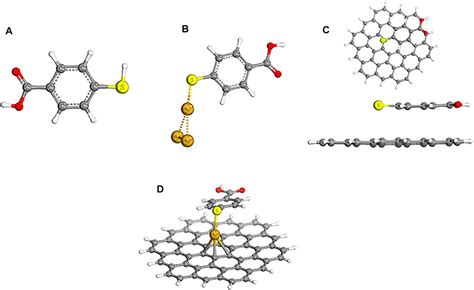 Frontiers Surface Enhanced Raman Spectroscopy Substrates Plasmonic