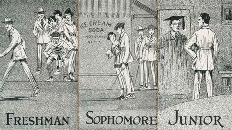 Freshman Sophomore - What Exactly Is A Sophomore? And What Does It Mean To Be A Junior And ...