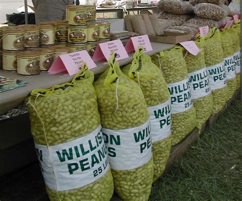 Central Florida Peanut Festival Visit Natural North Florida